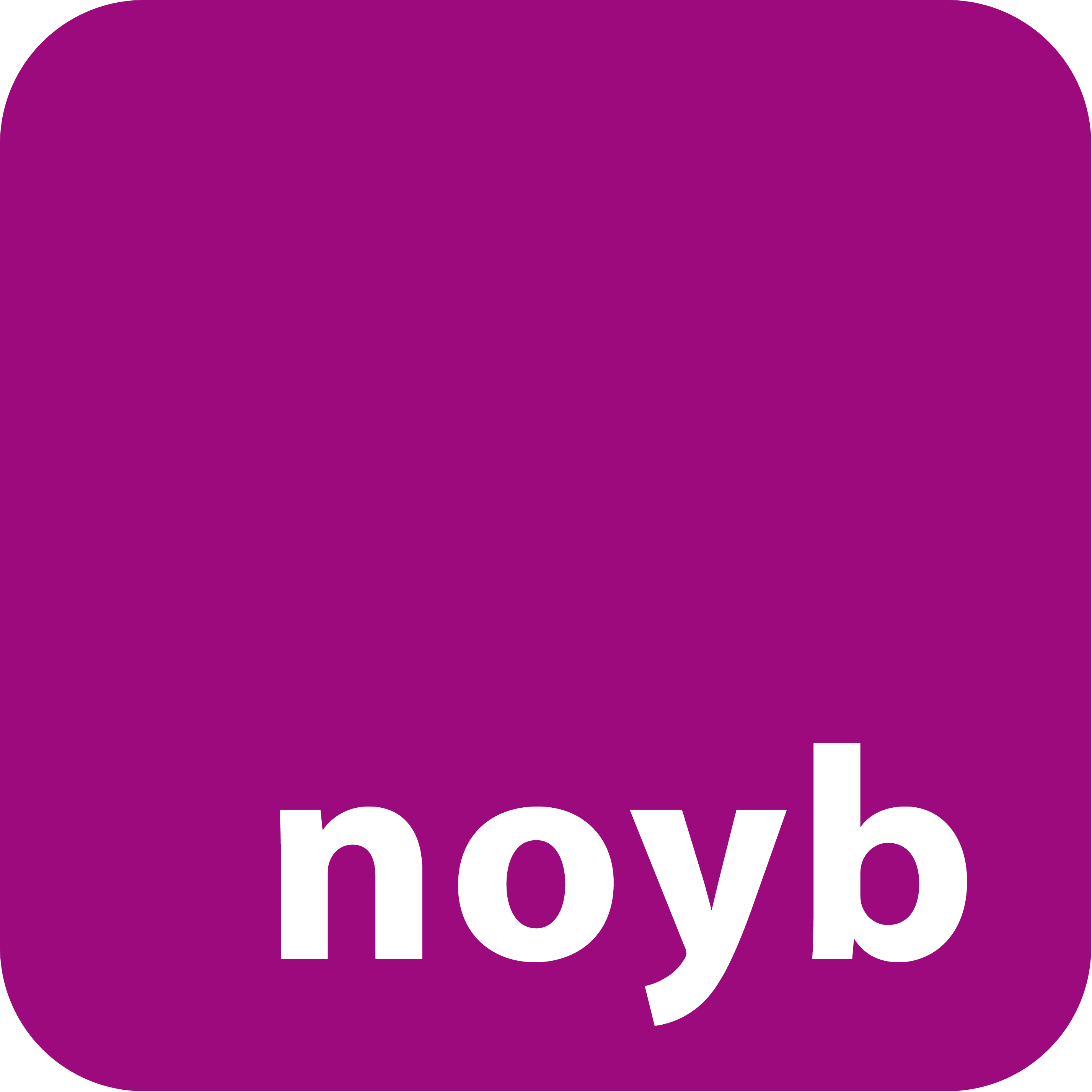 noyb logo